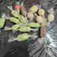 Foot Candy Bombs-12 in a box